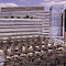 Paddington Health Campus
